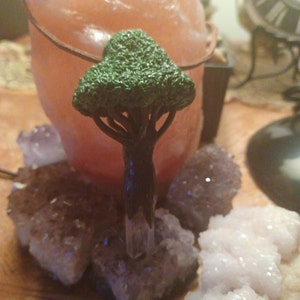 Felicity added a photo of their purchase