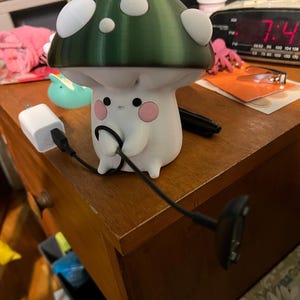 Melissa added a photo of their purchase