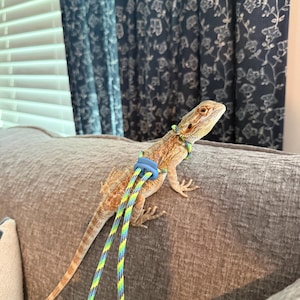 Kimberly added a photo of their purchase