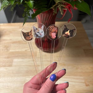 Jessica hat ein Foto des gekauften Artikels hinzugefügt