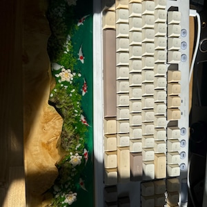 Chelsie added a photo of their purchase