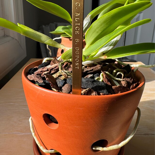 Dankeskarte Für Lehrer 'Helping Me Grow' – Süße Karte Mit Hasen-Motiv Für Erzieher & Betreuer