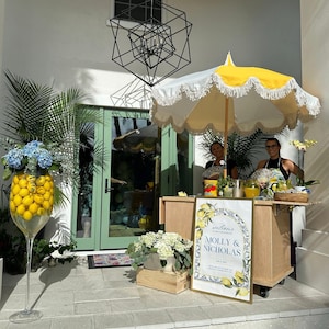 DIY Cake Cart - Drink Cart - Catering Cart - Candy Cart Plans (#0101) Standard and Metric