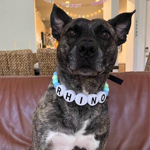 hailey heeft een foto van zijn/haar aankoop toegevoegd