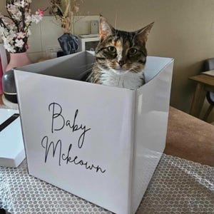 Georgia adicionaram uma foto da sua compra