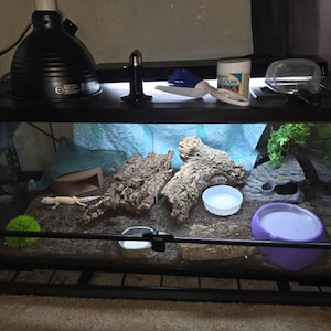 Debby added a photo of their purchase
