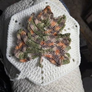 Elizabeth added a photo of their purchase