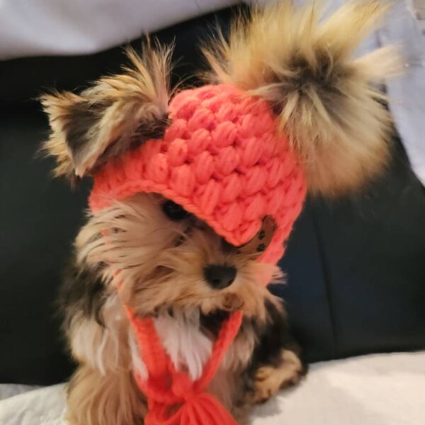 Crochet Pet Hat Crochet Dog Hat Crochet Cat Hat Crochet Dog Beanie Pet