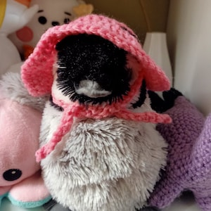 Pauline added a photo of their purchase