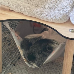 Clotilde added a photo of their purchase