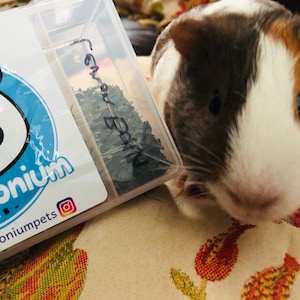 Amy added a photo of their purchase