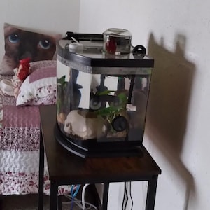 Deborah added a photo of their purchase