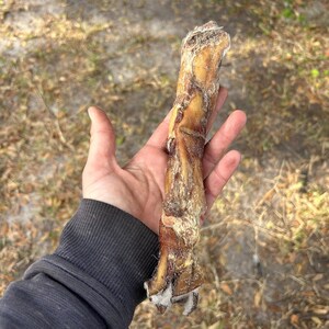 Maddison heeft een foto van zijn/haar aankoop toegevoegd