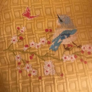 bird/ 桜 LUCKY BIRD「Large cards カードL / 桜 （cherry blossom