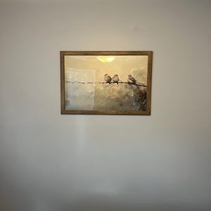 Melissa added a photo of their purchase