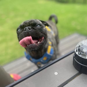 Ari added a photo of their purchase