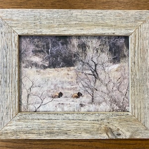 Barbara added a photo of their purchase