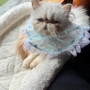 Elizabeth added a photo of their purchase