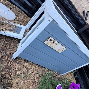 Cady added a photo of their purchase