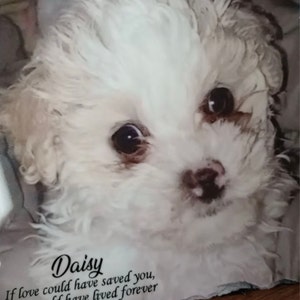 Chery added a photo of their purchase