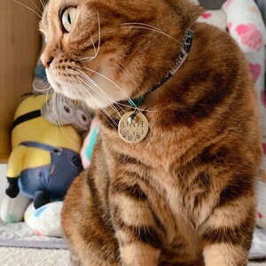 Catherine さんが購入した商品の写真を追加しました