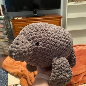 Rosemary added a photo of their purchase