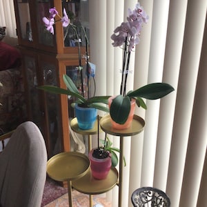 marilia added a photo of their purchase