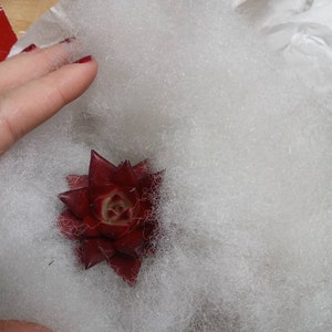 Megan added a photo of their purchase