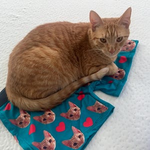 Renee added a photo of their purchase