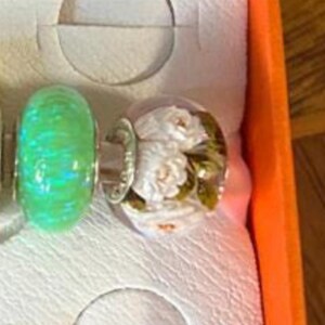 Ingrid added a photo of their purchase