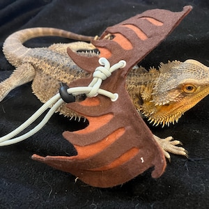 Kristyne added a photo of their purchase