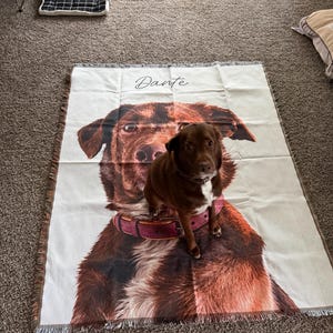 William added a photo of their purchase