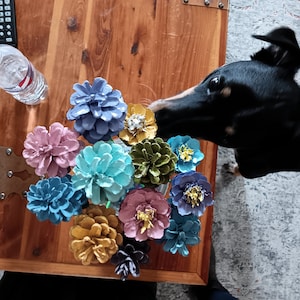 Beth added a photo of their purchase