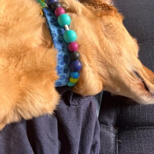 Carson ha añadido una foto de su compra
