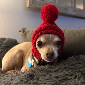 Katharine added a photo of their purchase