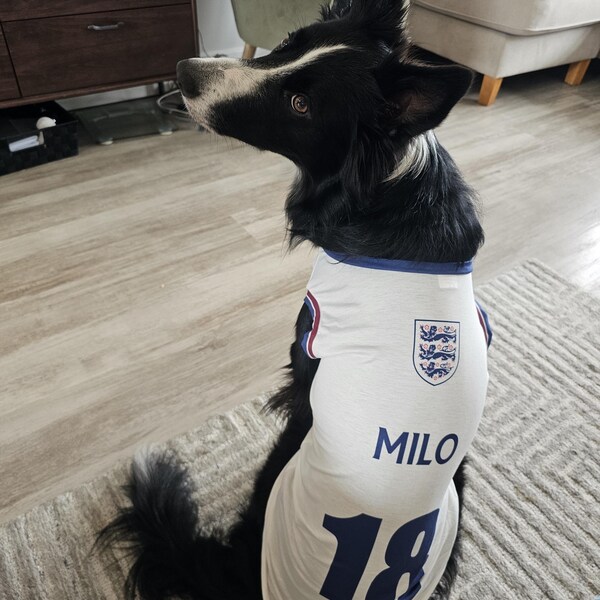 fc barcelona training tank top