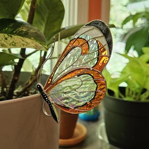 Teresa added a photo of their purchase