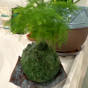 Randy ha aggiunto una foto del proprio acquisto