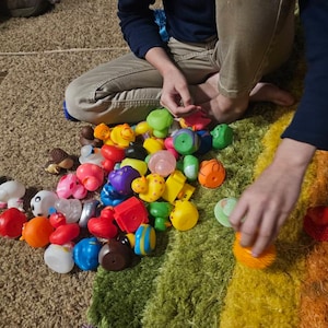 Haley adicionaram uma foto da sua compra