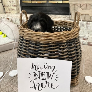 Brittney added a photo of their purchase