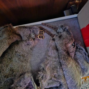 Mr. added a photo of their purchase