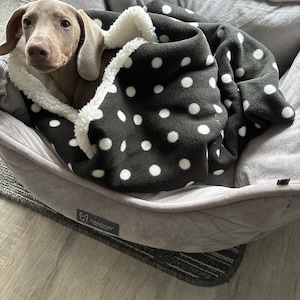 Jayne added a photo of their purchase