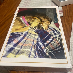 Maria added a photo of their purchase
