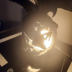 Rory added a photo of their purchase