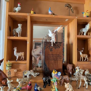 Sandra added a photo of their purchase