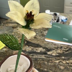 Kay added a photo of their purchase