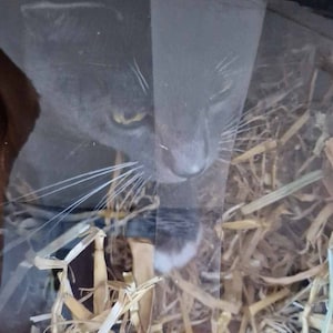 Ms added a photo of their purchase