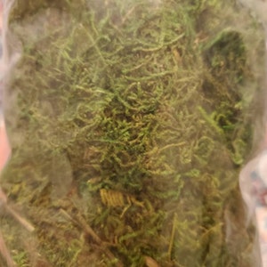 Trisha ha añadido una foto de su compra