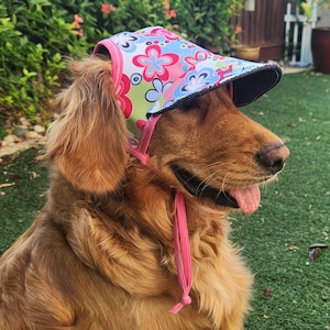 catdoglover dodał(a) zdjęcie swoich zakupów