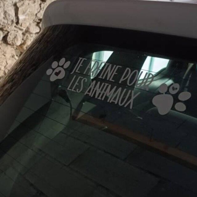 Autocollant Voiture Chien Français 3D - Décalque Adorable Et Amovible Pour Déco Chambre Ou Vitre